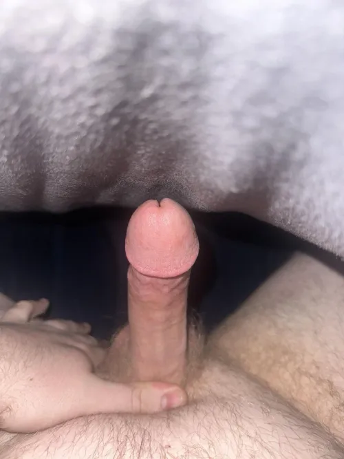 22Bi [M] sub looking for a femdom or a couple to chat and hang out with
