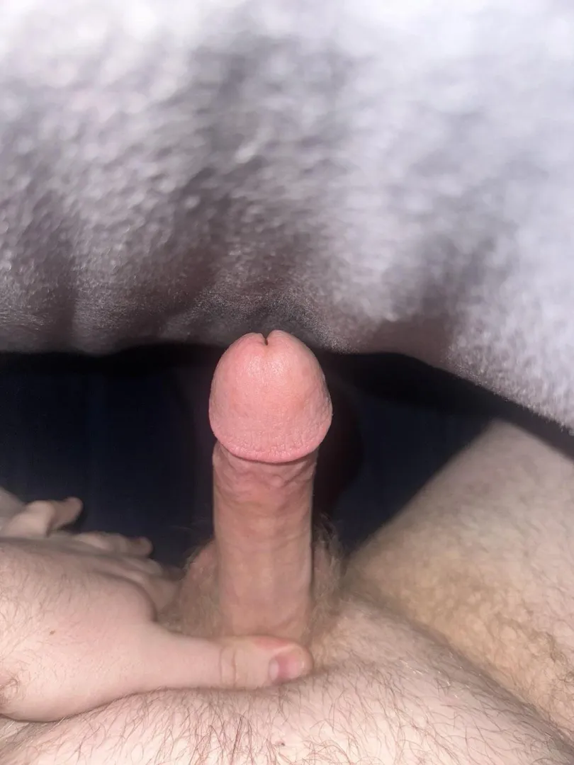 22Bi [M] sub looking for a femdom or a couple to chat and hang out with