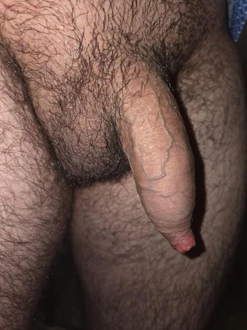 [24] pms always open