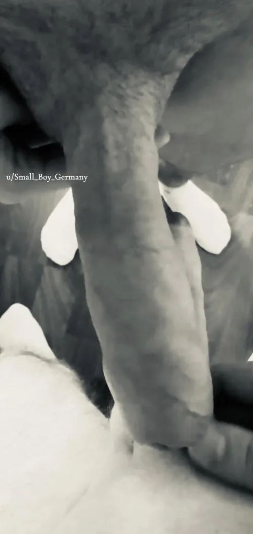 [24] that way I can at least hide him sufficiently… he is semi… show me a bigger one (german)