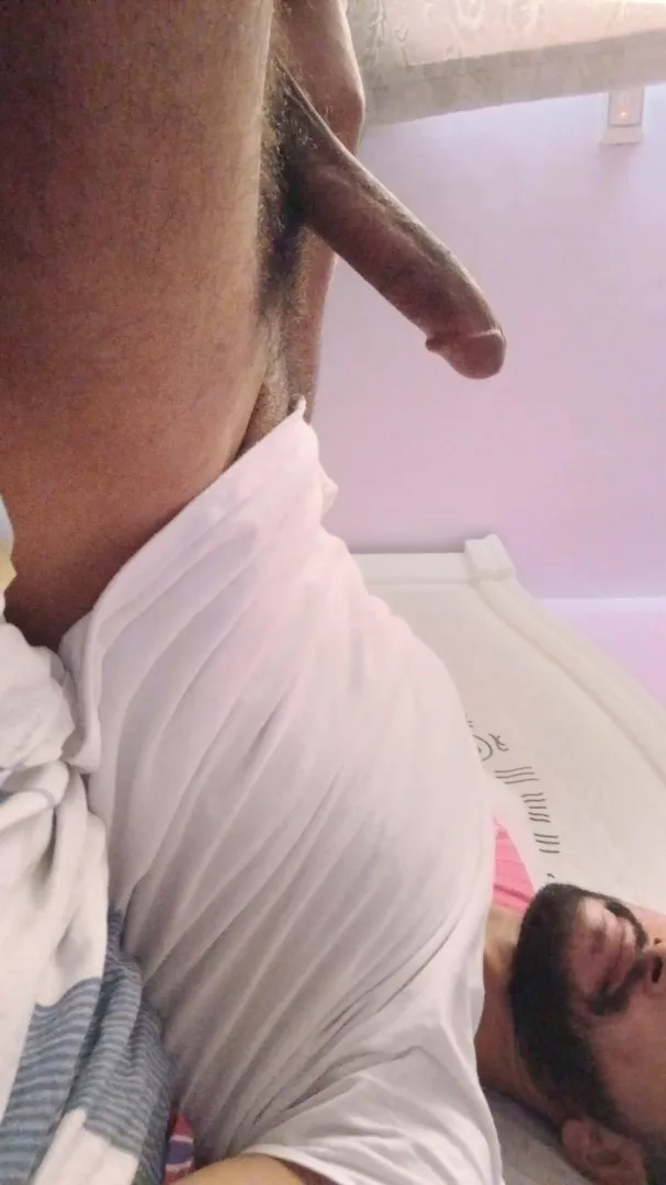 25 Egyptian Top Looking to breed, looking for a host in Egypt. Dm me asap.