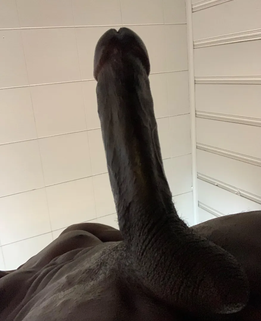 27 dearborn - bbc pleasure dom 4 u?