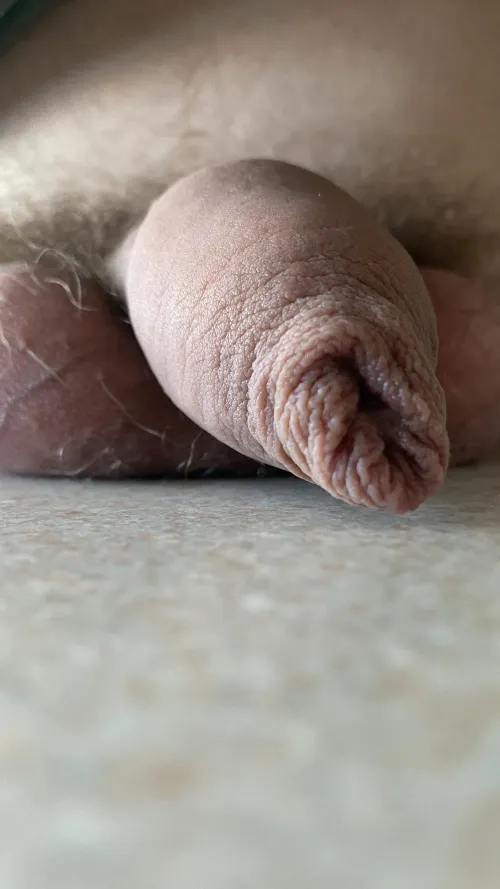 27 - Just a close-up