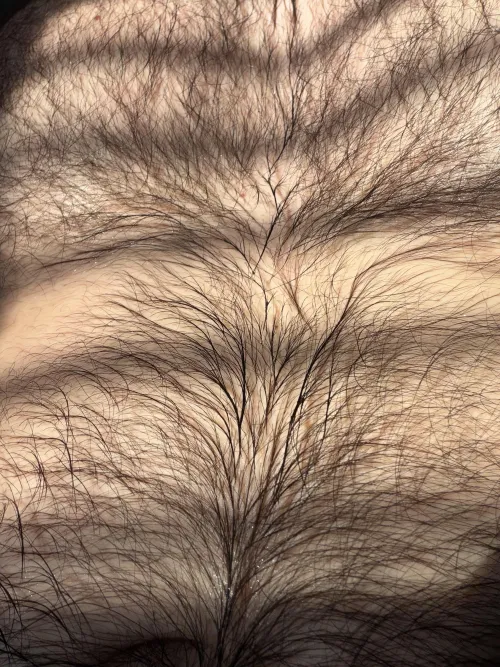 27 musky hairy verbal straight jock @harrisonw2000