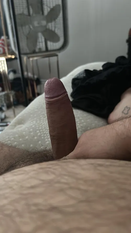 27m. Rate my dick