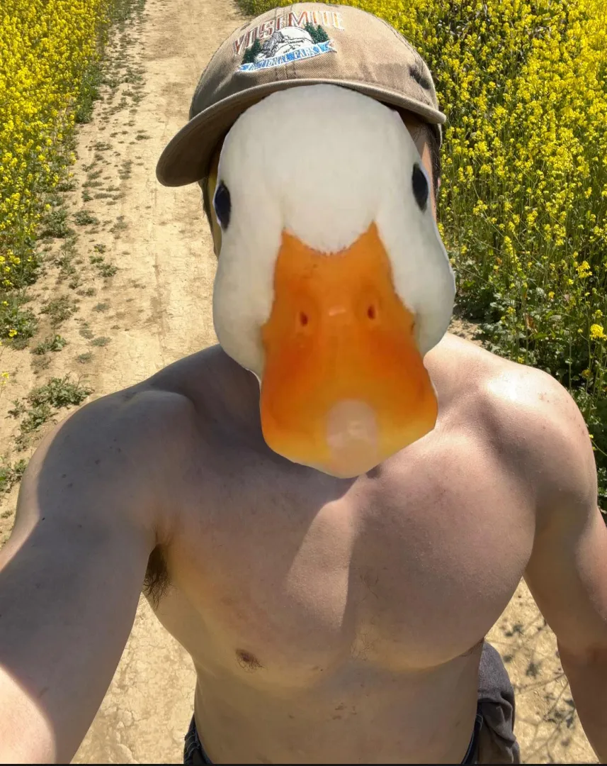 28 [M4F] #Waikiki - Virgin looking to practice oral or have you sit on my face