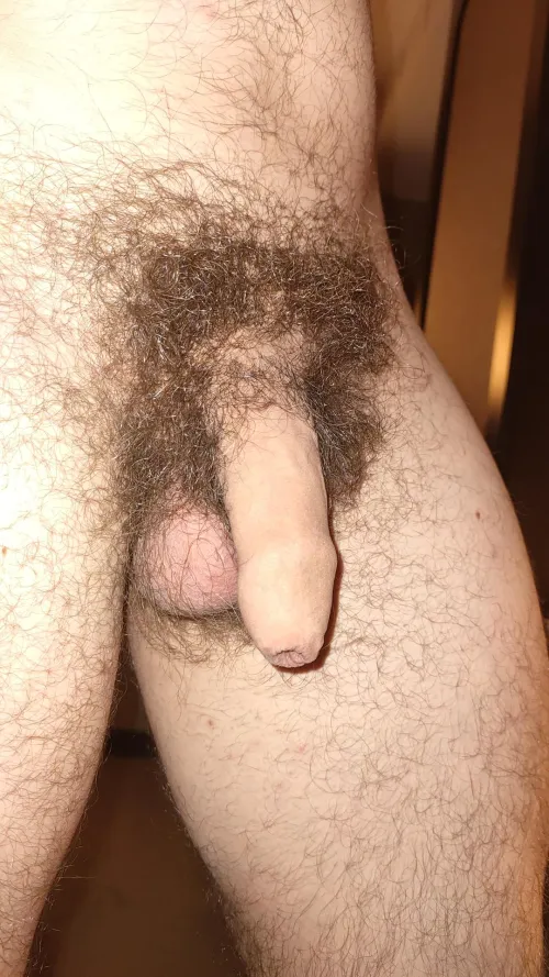 28 / pubes is important haha what do you think about my penis ?
