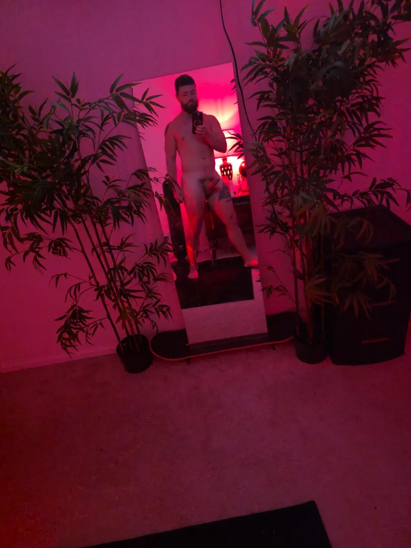 [29] BWC Single Dad in his home office