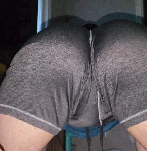 29 sissy near the border