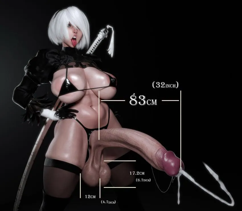 2B precise measurements (artist: zzzxxxccc)
