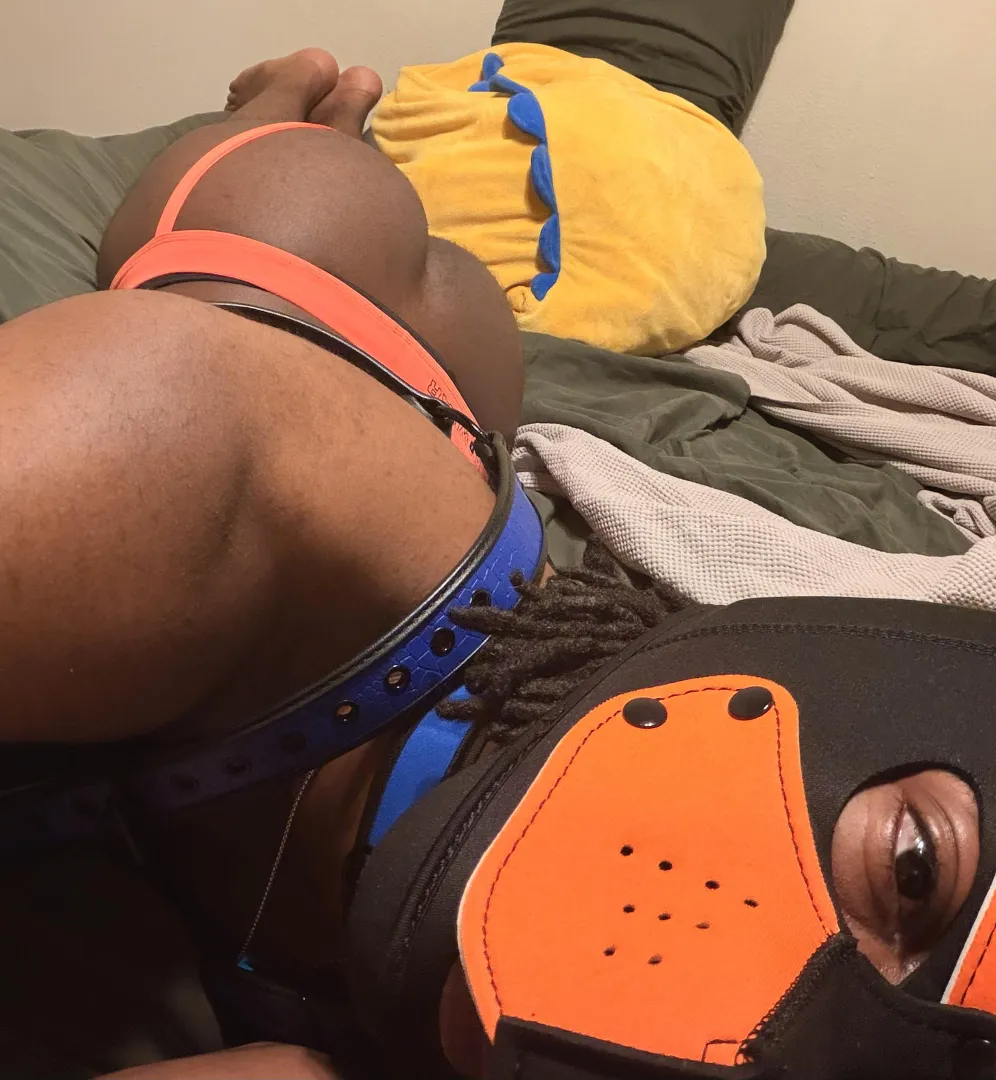 (30M) Lil Pup spending the day in LittleSpace with my favorite stuffie!  ‍