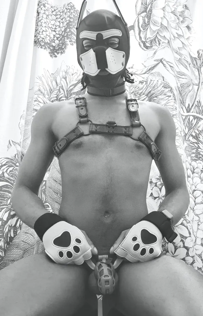 (30M) On display for my superiors 