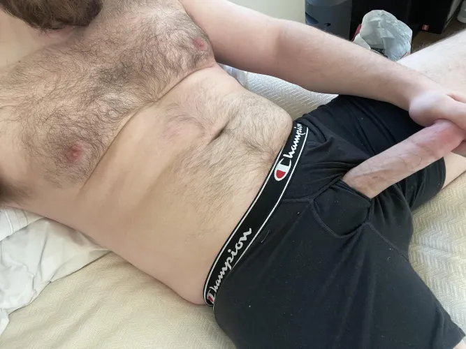 31 bi of older masc/hairy stroke bud this morning, dm for telegram