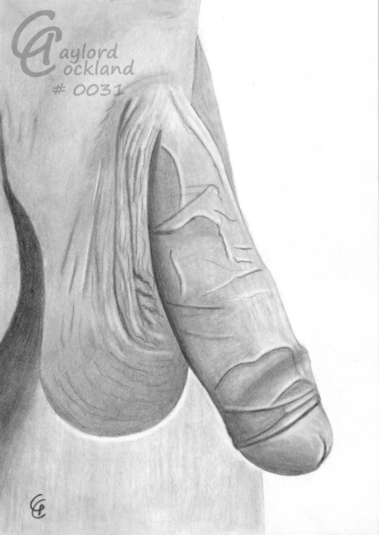 (#31) flaccid dick with half open forreskin, drawn by me