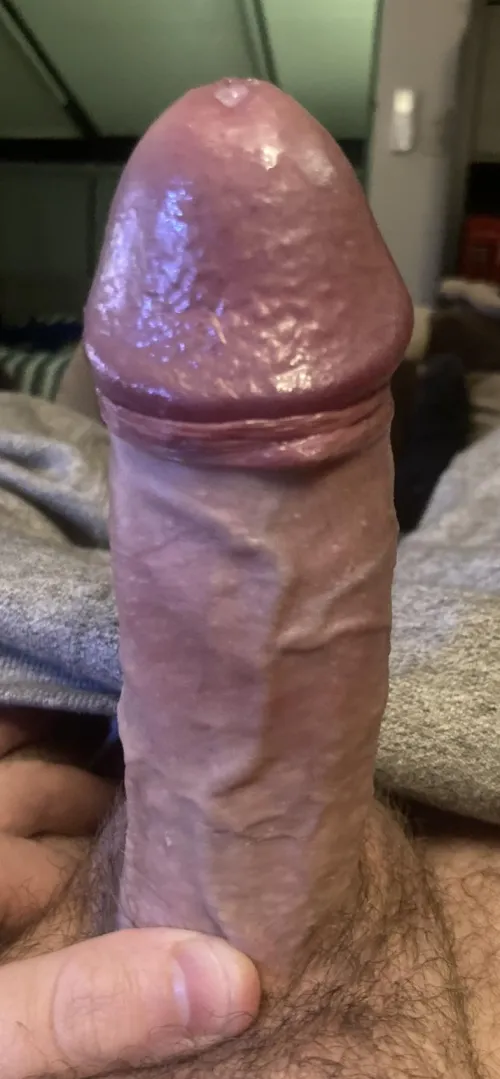 [31] uncut
