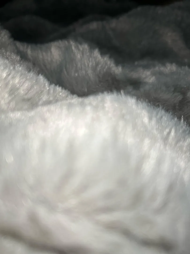 33 W Houston, looking for a bro to chat with who maybe wants to get off with each other.