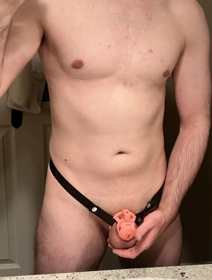 34 [m4m] caged sub looking for tops to use me 