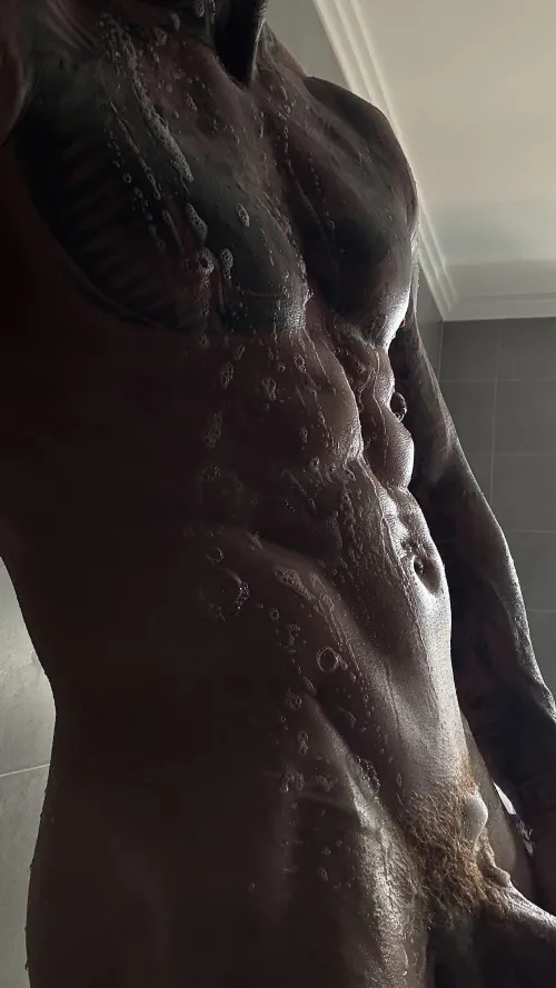 34m Bull looking for fresh meat - dm me