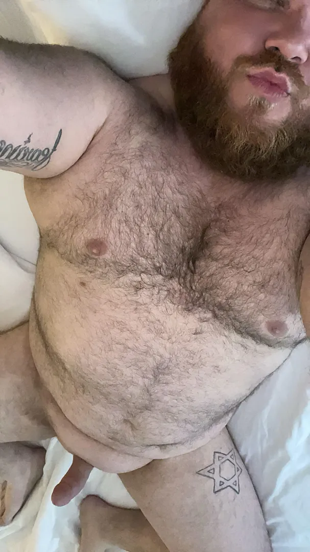 (35) Daddy bear needs to breed 