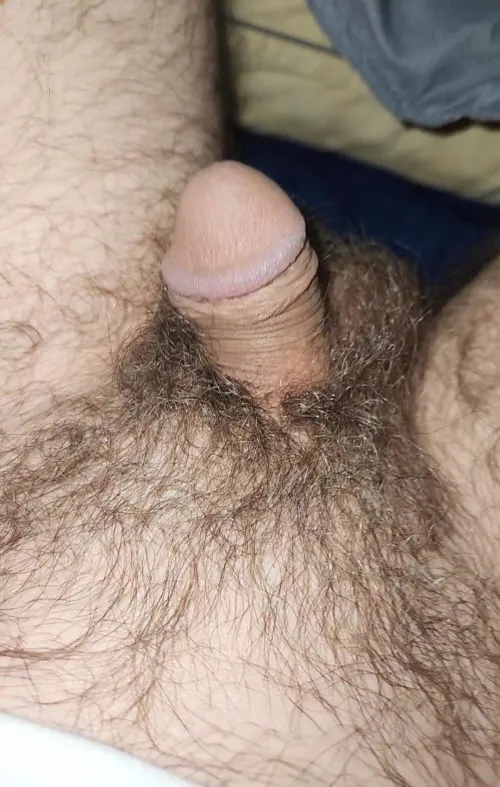 (35) I can't believe how tiny he gets.