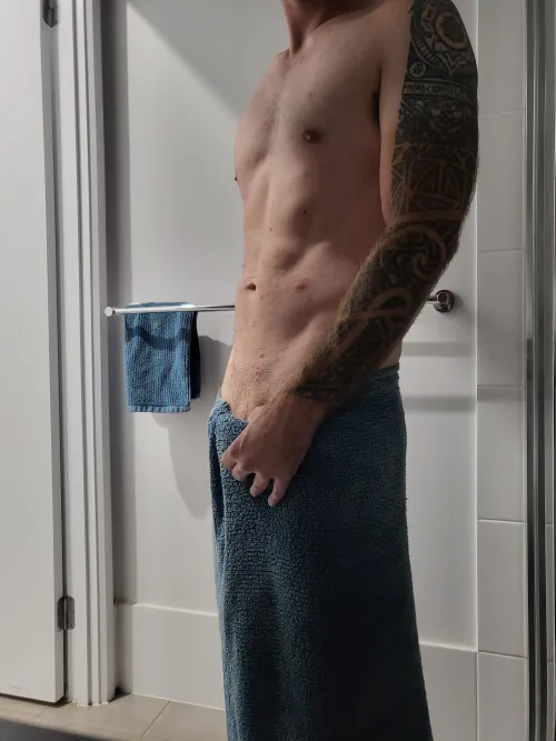 35 mid north coast bull