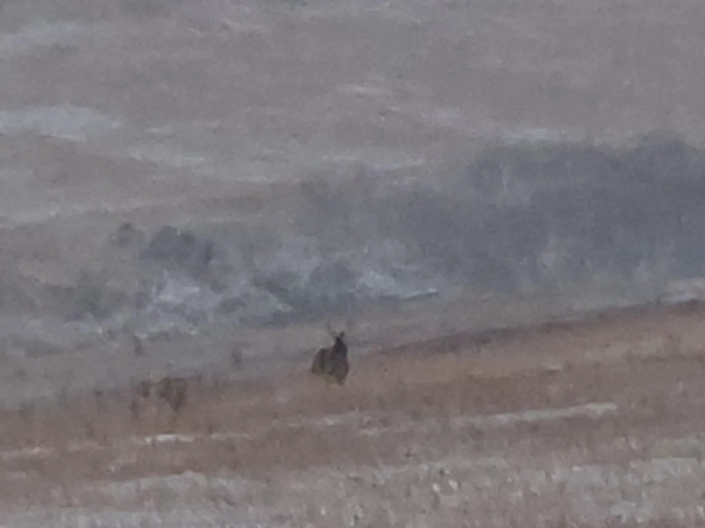 36 M4F Great Falls - Bored with things at home