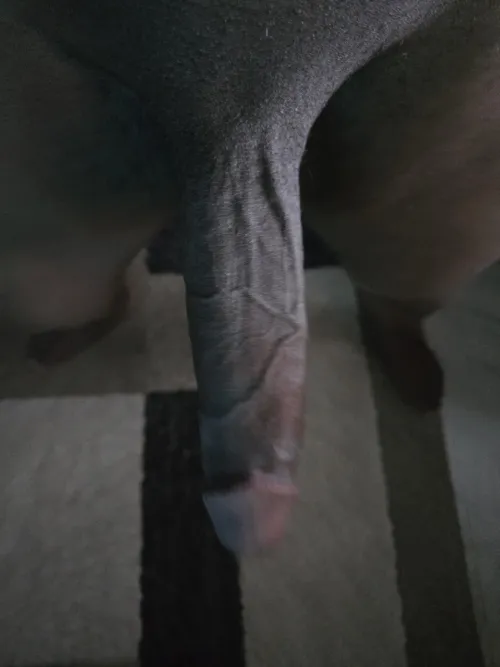 38 [M4F] East Hartford/Glastonbury - Looking for FWB and fun