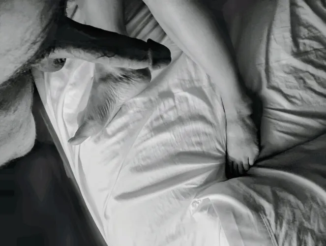 46m&45f Ready for fun