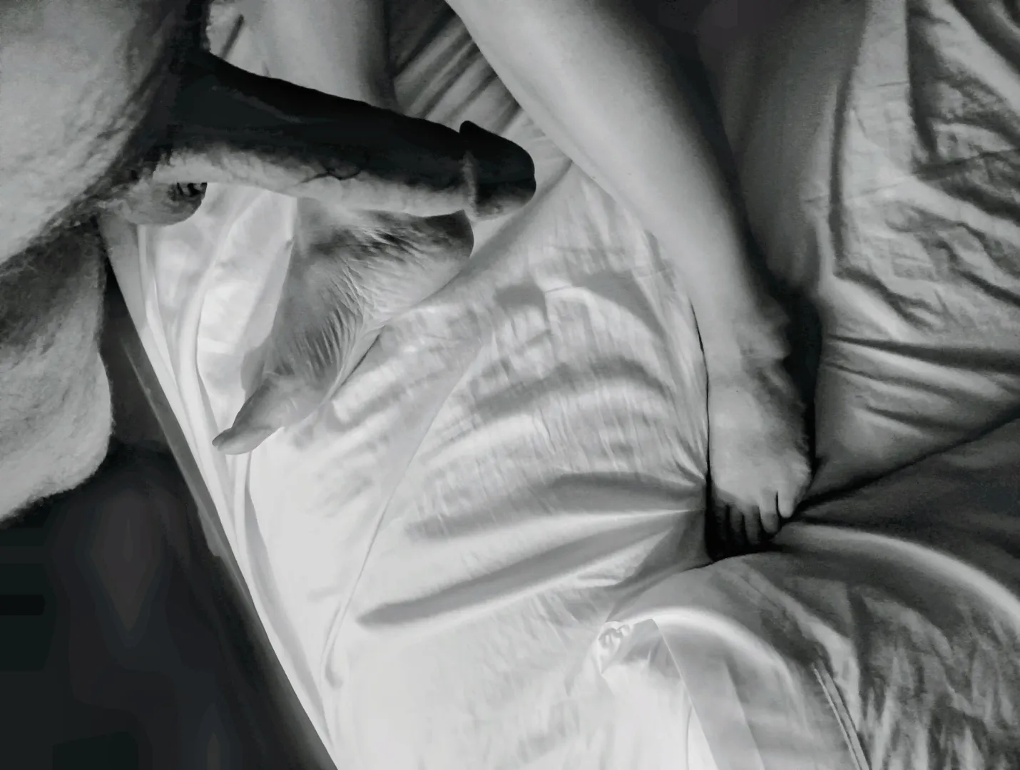 46m&45f Ready for fun