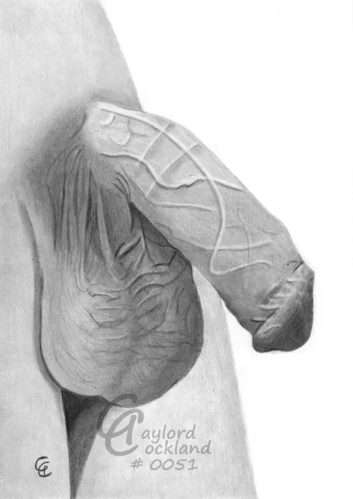 (#51) massive circumcised cock, drawn by me
