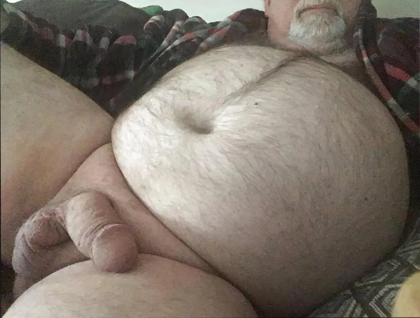 (60) Married Bi Daddy Bear