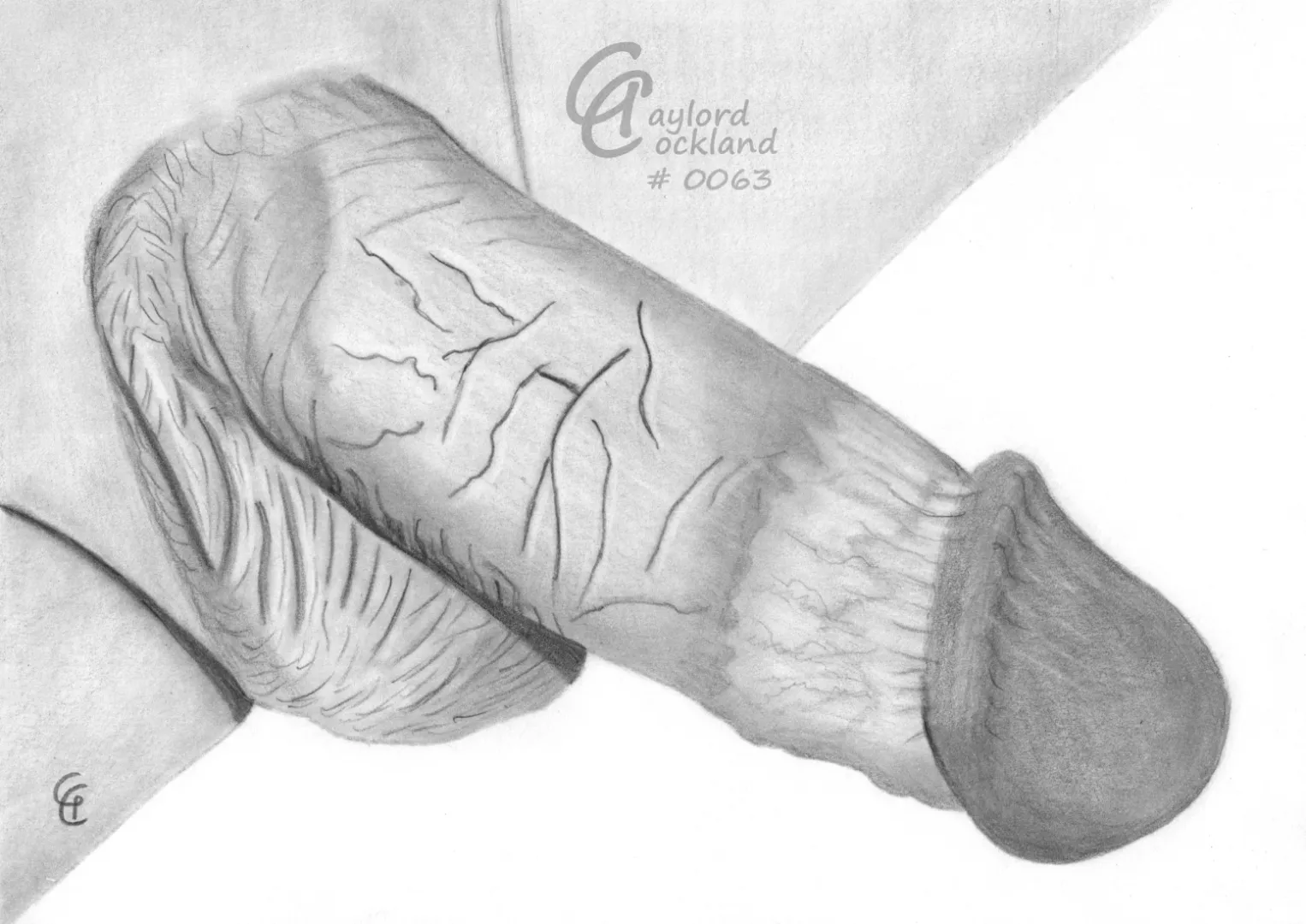 (#63) erect circumcised penis, drawn by me