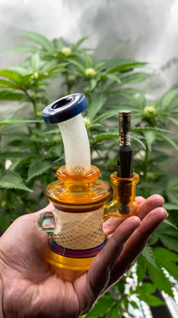 7ish years still one of my favorite combos