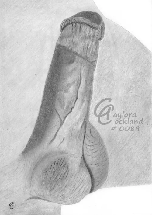 (#89) erect circumcised penis, drawn by me