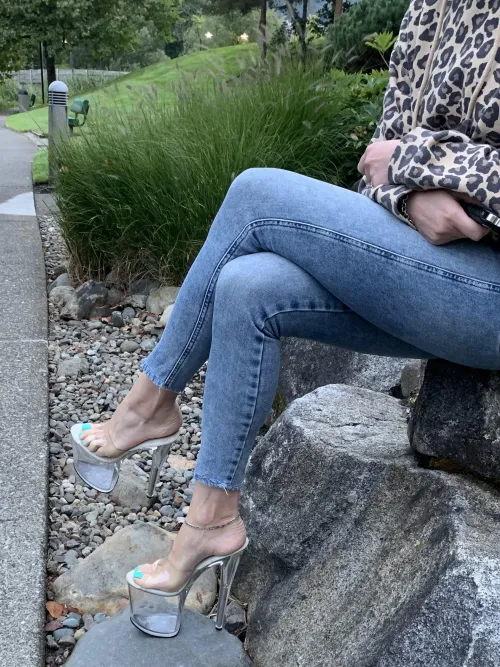 8inch pleaser flamingos in public! A sight you don’t see too often!