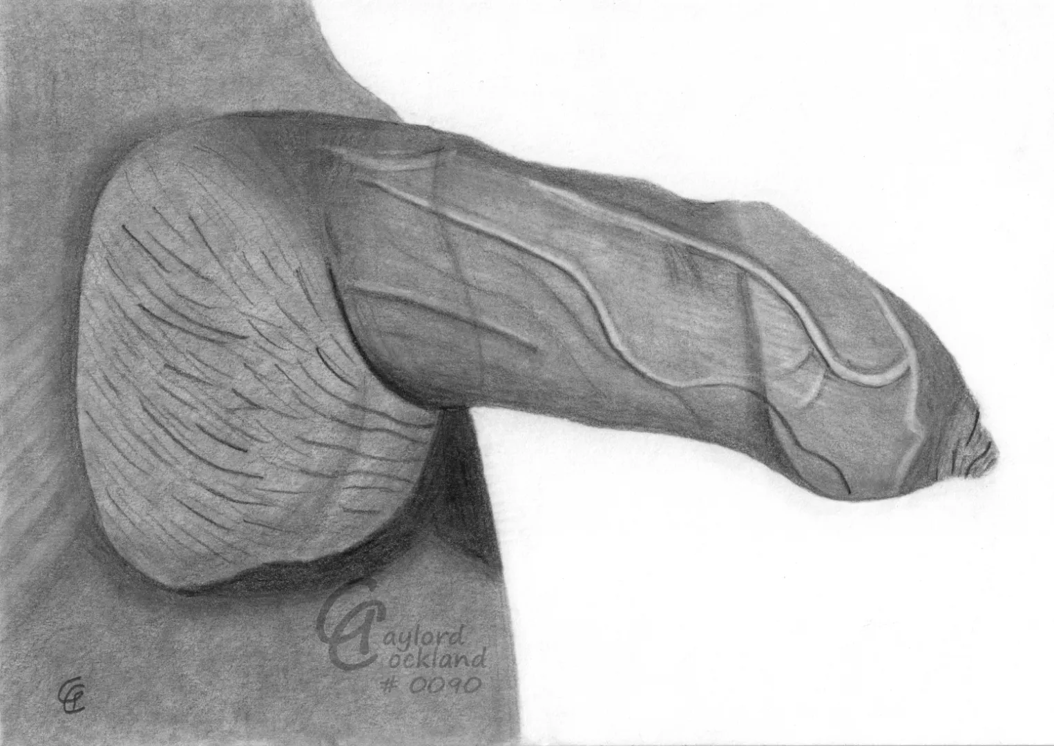 (#90) erect dick with closed foreskin, drawn by me