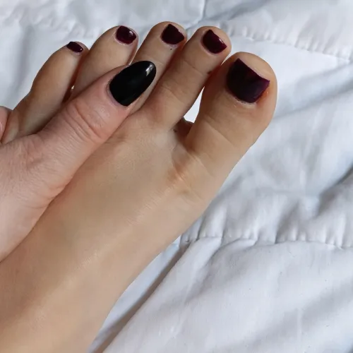 ''A Little gift for You....My OF Is FREE for the First 10 fans! Check my profile  ✨