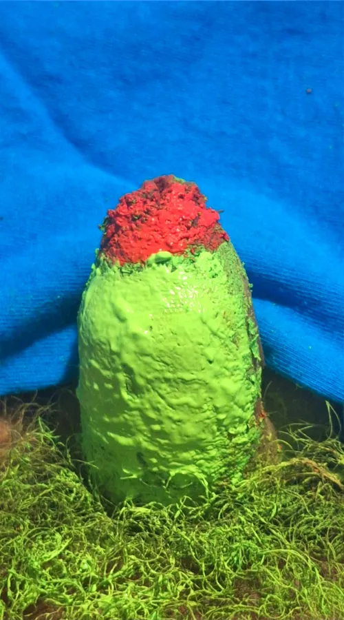 A very odd shaped rose in the grass