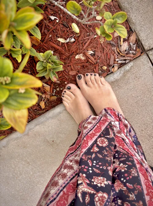 A whole Island just for feet?! 