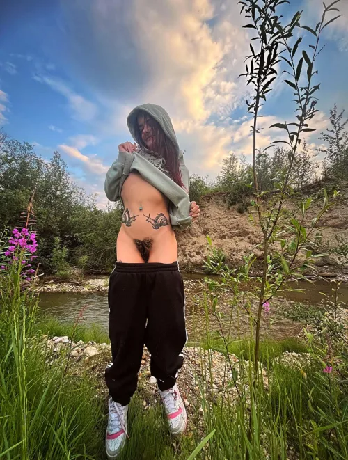 a wild Canadian beaver in her natural habitat 