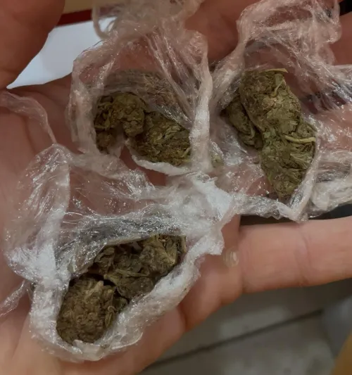 Acabei de ganhar maconha do nada kkk