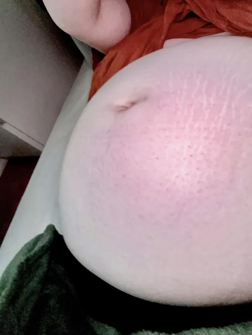 after a 100d hiatus - my tummy is back!