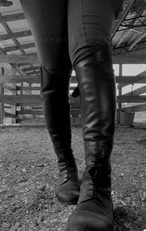 All ready for a ride