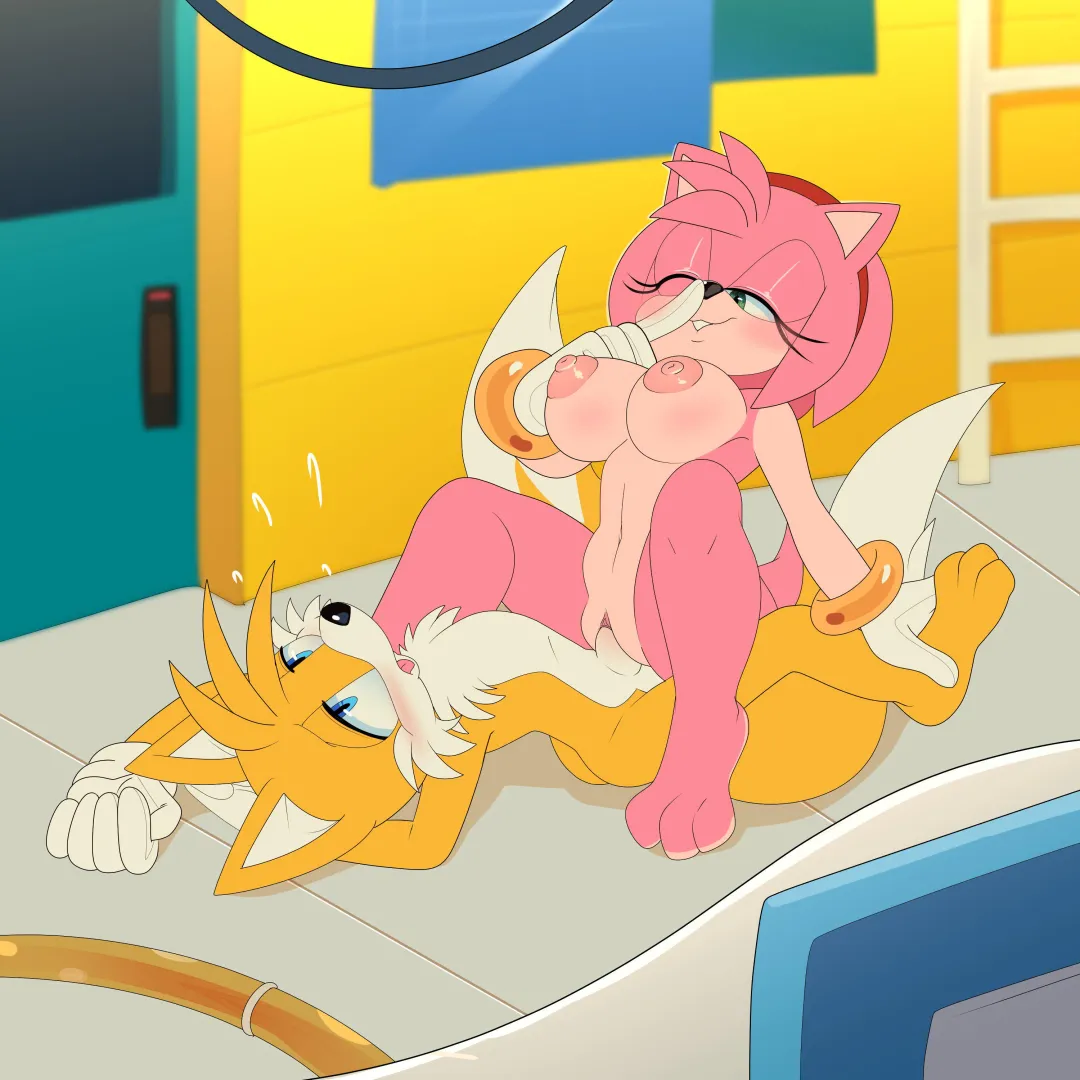 Amy gets a sneaky ride from Tails [APinkGrape]