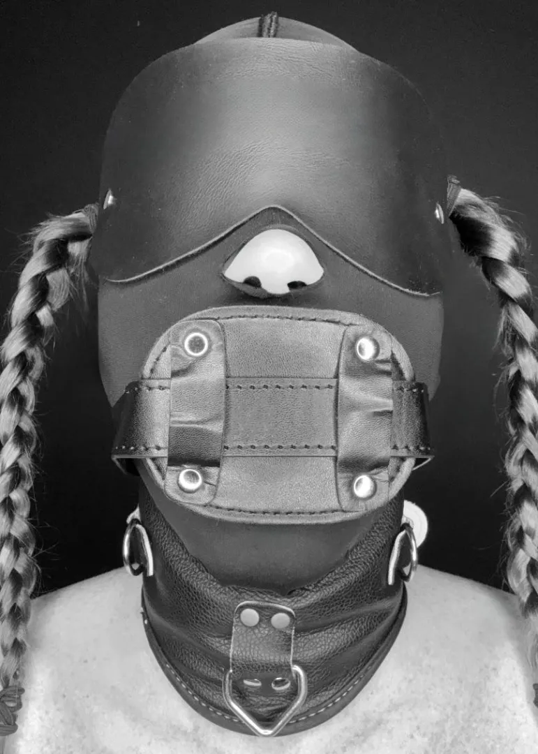 Anal pet ready to go to bed