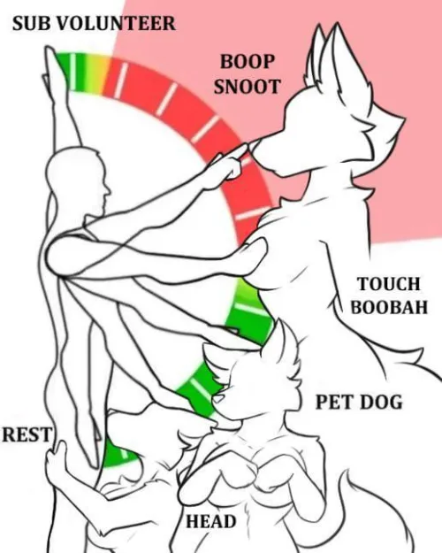 Anatomical studies of movement (Furry Edition) [MF]