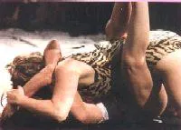 Animal print always wild heat