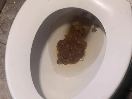 Another big manly shit of mine hmu if you a scat bro
