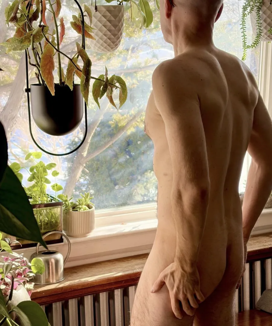 Anticipating spring..