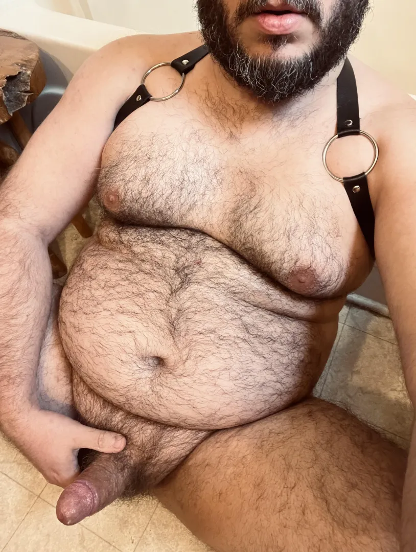 Any bears need a playmate tonight?